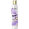 Pantene Morbidi & Setosi Shampoo con Biotina e Cheratina Ricostituente 250ml. Pro-V Miracles Shampoo Aiuta a Riparare i Capelli Secchi, Danneggiati, Trattati o Mesciati. Nutre i Capelli