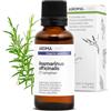 Aroma Labs Rosmarino Canforato BIO (Rosmarinus officinalis CT canfora) - 30 mL - Olio Essenziale Chemiotipizzato e Certificato AB - Aroma Labs - Made in France