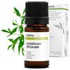 Aroma Labs - Levistico BIO - Olio Essenziale Chemiotipizato e Certificato AB - 5 mL