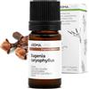 Aroma Labs Chiodi di Garofano BIO (Eugenia caryophyllus) - 5 mL - Olio Essenziale Chemiotipizzato e Certificato AB - Aroma Labs - Made in France