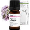 Aroma Labs Maggiorana a Coquille BIO (Origanum majorana) - 5 mL - Olio Essenziale Chemiotipizzato e Certificato AB - Sistema nervoso - Aroma Labs - Made in France