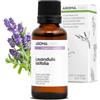 Aroma Labs Lavanda Aspic BIO (Lavandula latifolia) - 30 mL - Olio Essenziale Chemiotipizzato e Certificato AB - Aroma Labs - Made in France