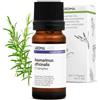 Aroma Labs Rosmarino Canforato BIO (Rosmarinus officinalis CT canfora) - 10 mL - Olio Essenziale Chemiotipizzato e Certificato AB - Aroma Labs - Made in France