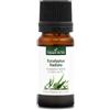 La Compagnie des Sens EUCALIPTO RADIATA BIO - 10mL - Olio Essenziale di Qualità Premium - 100% Puro, Naturale, Garantito ChromaCert® - Chemiotipizzato & Integrale