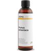Aroma Labs Nocciolo di Albicocca BIO (Prunus armeniaca) - 100 mL - Olio Vegetale Vergine e Certificato AB - Aroma Labs - Made in France