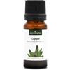 La Compagnie des Sens CAJEPUT (Melaleuca leucadendra) BIO - 10mL - Olio Essenziale di Qualità Premium - 100% Puro, Naturale, Chemiotipizzato e Integrale