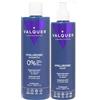 Valquer Laboratorios Valquer - Confezione con shampoo riparatore e maschera per capelli all'acido ialuronico, formula zero, idrata e protegge i capelli danneggiati e secchi, con aloe vera e cheratina, per tutti i tipi di