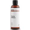 Aroma Labs Nocciola BIO (Corylus avellana) - 100 mL - Olio Vegetale Vergine e Certificato AB - Tonico naturale - Aroma Labs - Made in France