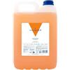 Valquer Laboratorios VALQUER Shampoo alla Mandorla | Rinforza e Protegge i Capelli | Pulizia Profonda e Morbidezza per Tutti i Tipi di Capelli | Formula Vegana Senza Siliconi | 5 L (Mandarino)