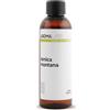 Aroma Labs Arnica BIO (Arnica montana) - 100 mL - Macerato Oleoso Certificato Cosmos - Aroma Labs - Made in France