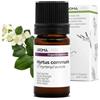 Aroma Labs Mirto Rosso BIO (Myrtus communis - CT myrtenyl acetate) - 5 mL - Olio Essenziale Chemiotipizzato e Certificato AB - Aroma Labs - Made in France