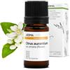 Aroma Labs Neroli BIO (Citrus aurantium var. amara - fiori) - 5 mL - Olio Essenziale Chemiotipizzato e Certificato AB - Aroma Labs - Made in France