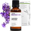 Aroma Labs Lavanda Vera BIO (Lavandula officinalis) - 30 mL - Olio Essenziale Chemiotipizzato e Certificato AB - Distensione & Rilassamento - Aroma Labs - Made in France