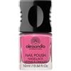 Alessandro vernice standard 41 dolce Blackberry, 1er Pack (1 x 10 ml)