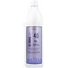 Nysha Ossidante Capillare Saga Nysha Color Pro (1000 ml) (1000 ml) (riferimento: S4256669)