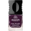 alessandro Standard Alessandro vernice viola scuro 45, prima Pack (1 x 10 ml)