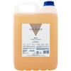 Valquer Laboratorios VALQUER Shampoo Rivitalizzante a pH Neutro | Rinforza, Idrata, Ripara e Dona Lucentezza ai Capelli Danneggiati | Con Ingredienti Naturali e Vitamina B5 per Tutti i Tipi di Capelli | 5 L