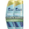 Head & Shoulders DERMAXPRO - Set lenitivo con shampoo antiforfora e maschera per la pelle della testa (2 x 250 ml), con aloe attivo, contro prurito e secca del cuoio capelluto