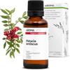 Aroma Labs Lentisco BIO (Pistacia lentiscus) - 30 mL - Olio Essenziale Chemiotipizzato e Certificato AB - Aroma Labs - Made in France