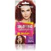 Delia Cosmetics Cameleo - Shampoo Colorante - Wild Plum - Aggiornamento del colore facile e veloce ''Tone In Tone''. - Senza ammoniaca e ossidanti - Shampoo in bustina - 40ml