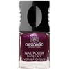 Alessandro standard 90 viola vernice Scopo, prima Pack (1 x 10 ml)