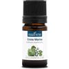La Compagnie des Sens FINOCCHIO MARINO BIO - 5mL - Olio Essenziale di Qualità Premium - 100% Puro, Naturale, Garantito ChromaCert® - Chemiotipizzato & Integrale