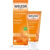 Weleda Crema Mani Olivello Spinoso, di facile assorbimento, nutre e idrata la pelle delle mani per un effetto vellutato, piacevole fragranza di mandarino e pompelmo (1X50 ml)
