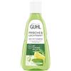 Guhl Shampoo antigrasso, fresco e leggero, contenuto: 250 ml, tipo di capelli: grassi, normali