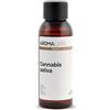 Aroma Labs Canapa BIO (Cannabis sativa) - 50 mL - Olio Vegetale Vergine e Certificato AB - Benessere cardiaco - Aroma Labs - Made in France