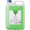 Valquer Laboratorios VALQUER Shampoo alla Mandorla | Rinforza e Protegge i Capelli | Pulizia Profonda e Morbidezza per Tutti i Tipi di Capelli | Formula Vegana Senza Siliconi | 5 L (Clorofilla)