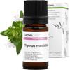 Aroma Labs Maggiorana Selvatica BIO (Thymus mastichina) - 5 mL - Olio Essenziale Chemiotipizzato e Certificato AB/Cosmos - Aroma Labs - Made in France