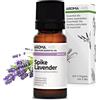 Aroma Labs Lavanda Aspic BIO (Lavandula latifolia) - 10 mL - Olio Essenziale Chemiotipizzato e Certificato AB - Aroma Labs - Made in France