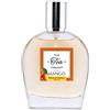 Alvarez Gomez FRUIT TEA COLLECTION MANGO edt vapo 100 ml