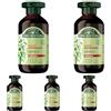 Antica Erboristeria Laboratorio Natura Antica Erboristeria - Shampoo Seboregolatore all'Ortica per Capelli Grassi, Formula Vegan Senza Siliconi, 250ml (Confezione da 5)