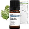 Aroma Labs Finocchio Marino BIO (Crithmum maritimum) - 5 mL - Olio Essenziale Chemiotipizzato e Certificato AB - Aroma Labs - Made in France