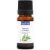 La Compagnie des Sens ROMARIN À CINÉOLE BIO - 10mL - Huile Essentielle de Qualité Premium - 100% Pure, Naturelle, Intégrale et Chémotypée