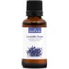 La Compagnie des Sens LAVANDINO SUPER BIO - 30mL - Olio Essenziale di Qualità Premium - 100% Puro, Naturale, Garantito ChromaCert® - Chemiotipizzato & Integrale
