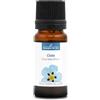 La Compagnie des Sens CISTO (Cistus ladaniferus) BIO - 10mL - Olio Essenziale di Qualità Premium - 100% Puro, Naturale, Garantito ChromaCert® - Chemiotipizzato & Integrale