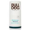BULLDOG SKINCARE FOR MEN Bulldog Deodorante Naturale Menta e Eucalipto 75 ML- Deodorante profumato per uomo con ingredienti naturali