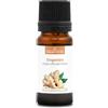 La Compagnie des Sens ZENZERO (Zingiber officinale) BIO - 10mL - Olio Essenziale di Qualità Premium - 100% Puro, Naturale, Garantito ChromaCert® - Chemiotipizzato & Integrale