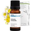 Aroma Labs Camomilla Matricaria BIO (Matricaria chamomilla) - 10 mL - Olio Essenziale Chemiotipizzato e Certificato AB - Distensione & Rilassamento - Aroma Labs - Made in France