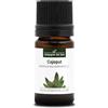 La Compagnie des Sens CAJEPUT BIO - 5mL - Olio Essenziale di Qualità Premium - 100% Puro, Naturale, Integrale e Chemiotipizzato