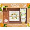 JEANNE EN PROVENCE - Set regalo per donne - Fiore d'arancio - Eau de Parfum 60 ml + crema mani 75 ml + sapone 100 g