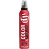 PostQuam Schiuma Colorata Argento 300 ml - Mousse Tonalizzante Silver - Riflessi Freddi Luminosi per Capelli Biondi e Grigi