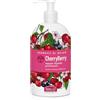 Helan I Sorbetti CherryBerry - Sapone Liquido Mani Profumato Rivitalizzante con Ribes Nero e Amarena, Sapone Mani Gel Detergente Naturale e Delicato con Zuccheri Idratanti per Pelli Sensibili, 500 ml