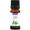 La Compagnie des Sens VERBENA ESOTICA (Litsea cubeba) BIO - 10mL - Olio Essenziale di Qualità Premium - 100% Puro, Naturale, Garantito ChromaCert® - Chemiotipizzato & Integrale