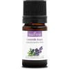 La Compagnie des Sens LAVANDA ASPIC BIO - 5mL - Olio Essenziale di Qualità Premium - 100% Puro, Naturale, Garantito ChromaCert® - Chemiotipizzato & Integrale