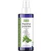 PROPOS'NATURE Idrolizzato di menta piperita Bio - Mentha Piperita - 100 ml - PROPOSTA NATURA