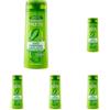 Garnier Fructis Shampoo Lenitivo, Per Capelli Normali, Azione Antiforfora, Con Tè Verde e Piroctone Olamina, 250 ml (Confezione da 5)