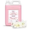 IDEA HOME AROMÉA Sapone Liquido Mani Flower Garden - Tanica Ricarica 5 L - Profumazione Floreale - per Dispenser Manuali e Automatici